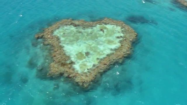 ДОМ. (Док. фильм запрещенный к показу во многих странах мира.) смотреть онлайн