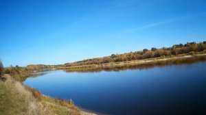 Река чаек 2020