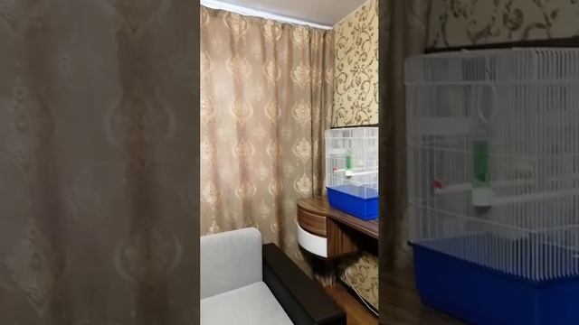 Отзыв о компании прОкарниз (prokarniz.ru). Установили Электрокарнизы