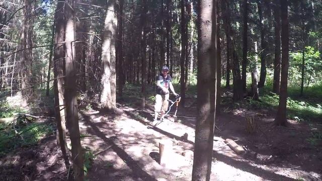 лесные прогулки на свежем воздухе смотреть онлайн