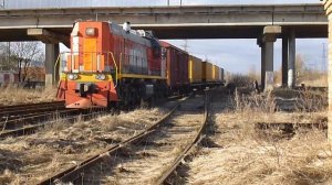 Тепловоз ТЭМ18ДМ-855 с грузовым поездом. Контейнеры LDZ CARGO.