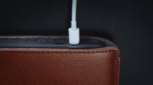 WOOLNUT - Leather Sleeve for MacBook