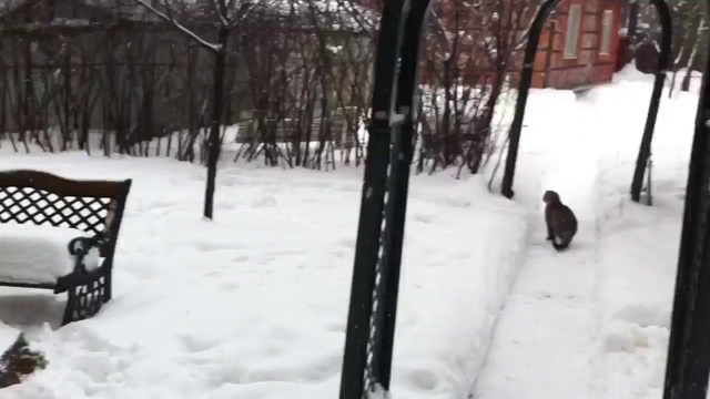 Heart смотреть онлайн