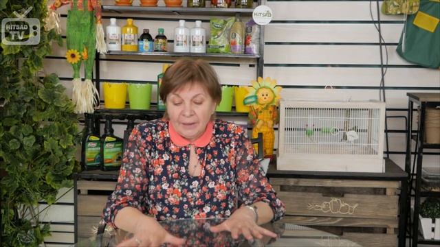 Органическое земледелие ✅ Основные принципы ✅ С чего начать?