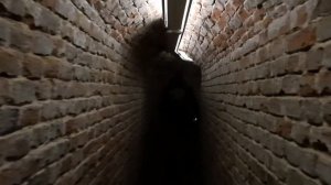 Женский монастырь. Серафимович (Усть-Медведицкий Спасо-Преображенский монастырь)