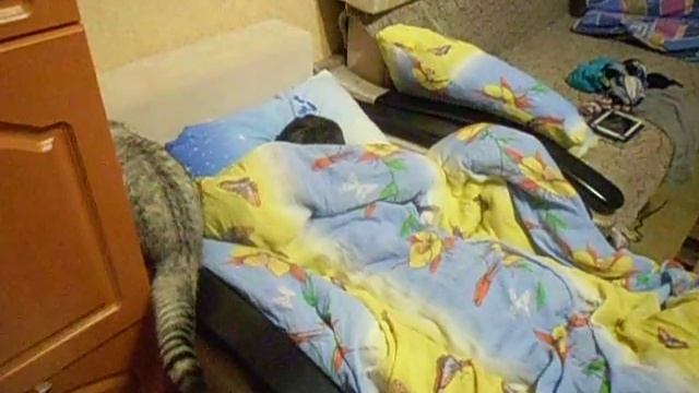 Горчичники и Данила 2014 год смотреть онлайн