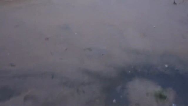 ДЕРЕВНЯ НИКУЛИНО ТВЕРСКАЯ ОБЛАСТЬ