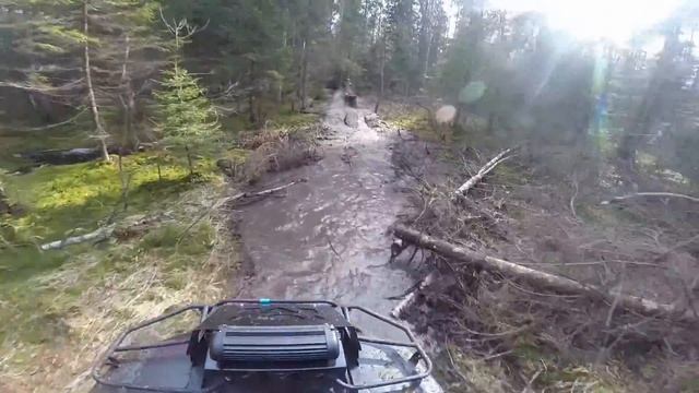 Квадрики смотреть онлайн