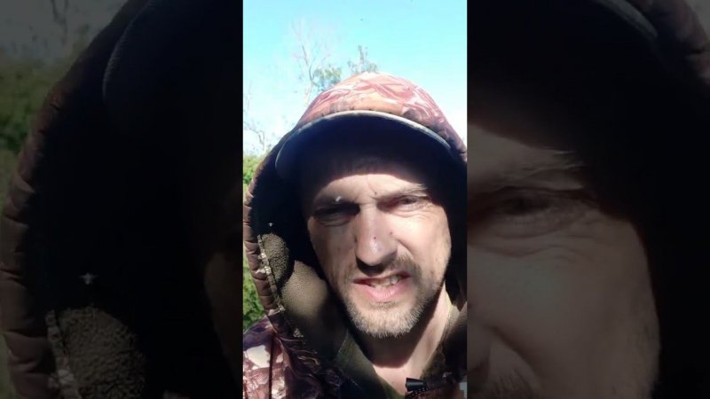 карась, на лесном озере"Путило". #рыбалка #карась #fishing