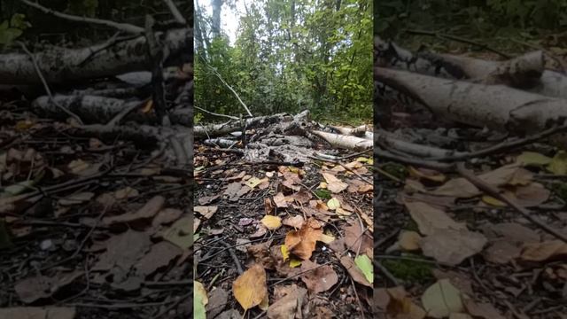 Кто сохраняет и предоставляет тварям полномочия на управление, уйдет в утиль вместе с ними. смотреть онлайн