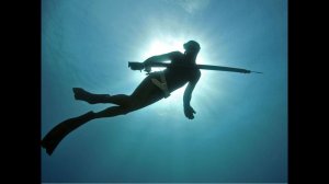 Охота на лобана 2021 Осень.