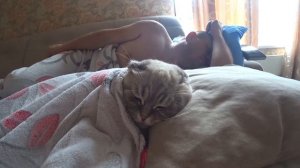 Котик Кевин замерз и пришел к дедушке под одеяло