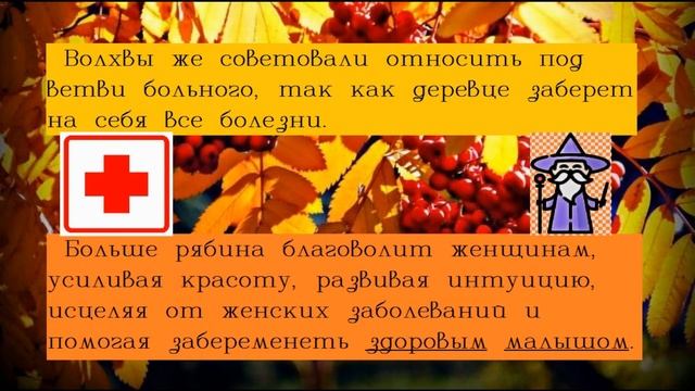 Оберег от сглаза и порчи. Талисман на любовь и удачу. Рябина магические свойства. смотреть онлайн
