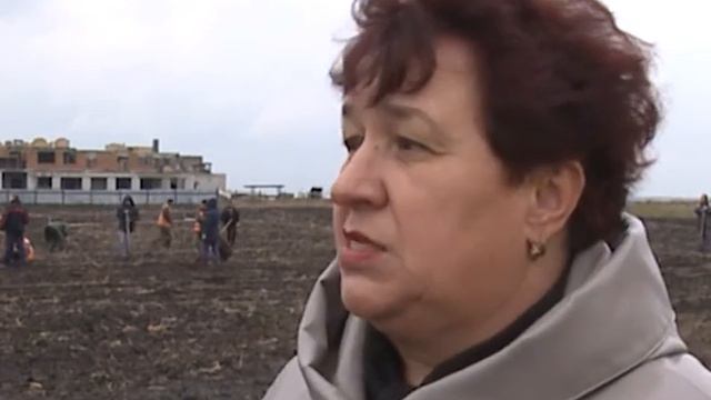 В «Зеленстрое» не бывает зимних каникул