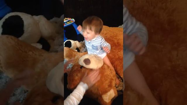 noah leo stern -  teddy bear