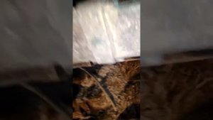 УАЗ патриот. Соединил баки)!)