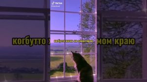 НОВЫЙ ФФ " Тайно влюблён!" (Т/И и ПЯТЫЙ) // АКАДЕМИЯ АМБРЕЛЛА// ФФ //