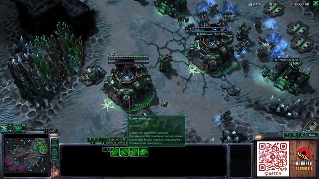 КАК РАБОТАЮТ ГОСТЫ В ТВЗ? | КНВ - 1 КАТОЧКА НА ВЕЧЕРОЧЕК | StarCraft 2