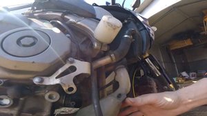замена масла на #cbr600rr 2005г.