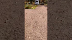 Ораниенбаум. Дворец Петра III, крепость Петерштадт