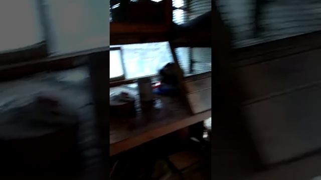 Клетка для леггорн. #куры смотреть онлайн