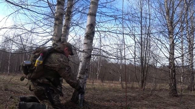 Ставлю березовый сок