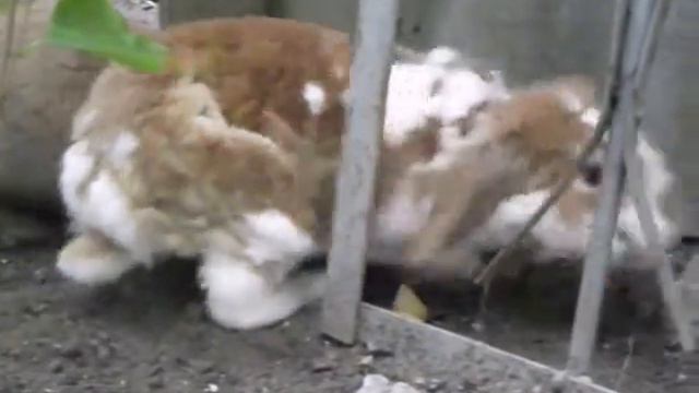 Зимовье на открытом воздухе смотреть онлайн