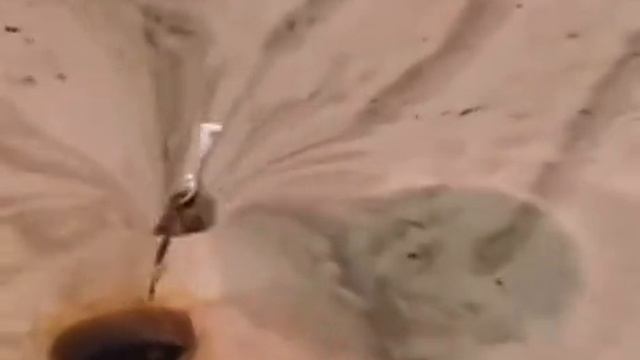 Учёные впервые смогли визуализировать попадание объекта в чёрную дыру и уход за горизонт событий