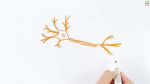 Что бывает от сотрясения мозга?