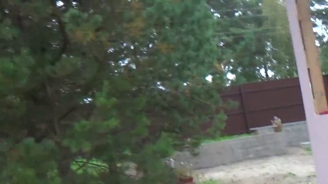 Отзыв клиента  Дом из полистиролбетона