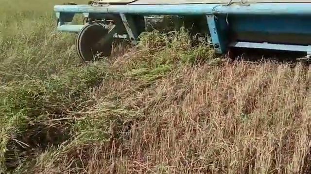 ЮМЗ-6 и ЖВП-4.9 жатка косим на свал зерновые 26.08.2021г. смотреть онлайн