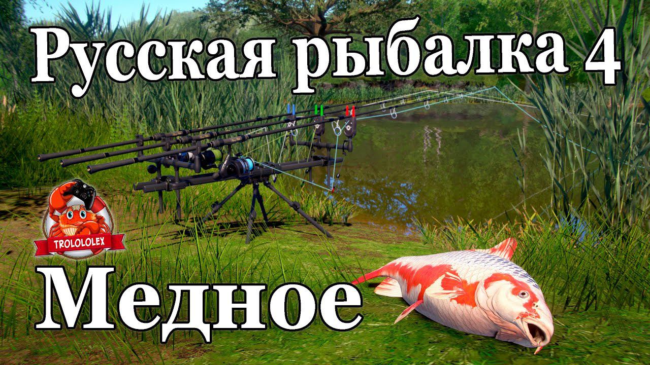 Русская рыбалка 4.  Озеро Медное. Ловим карпов КОИ