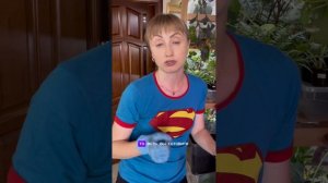 Удобрения длительного действия для комнатных растений