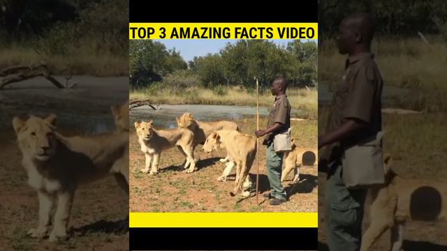 दुनिया के 3 amazing Facts video | #short #youtube #short