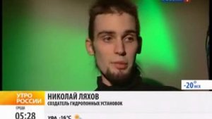 Помидоры в квартире гидропоника