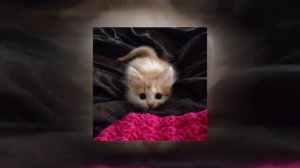 Малыш в красивом платье