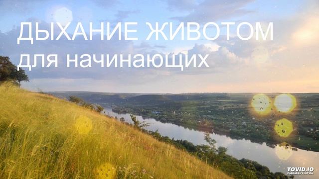 ДЫХАНИЕ ЖИВОТОМ для начинающих смотреть онлайн
