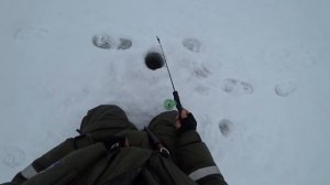 Онежское Озеро . Каскесручей. Ловим Кильца и Сига.