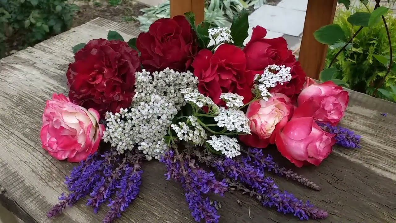 СОЧЕТАНИЯ... Оммаж а Барбара, Пейсли Эбби, Юбилей Принца Монако и Компания