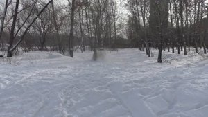 снегоход с большим колесом РАДИС