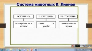 Биология: Развитие представлений об эволюции живой природы до Ч.Дарвина.