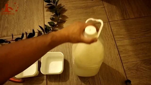 Размножение голубики с помощью корневина. Эксперимент №2, часть 1