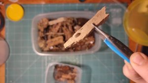 Содержание мокриц дома