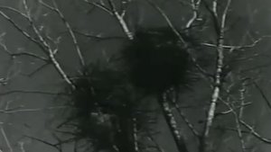 Омарла Батырай