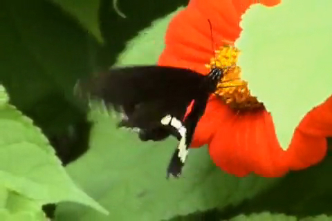 ggg смотреть онлайн