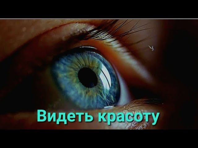 Видеть красоту | Тина Фризен - Жизни #красота#мир#макро#песня#музыка#трек#исполнительница#природа