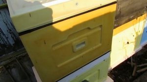 холстик и пленка ушли в прошлое, полностью перевел все ульи на потолочины, подсиливание пчел