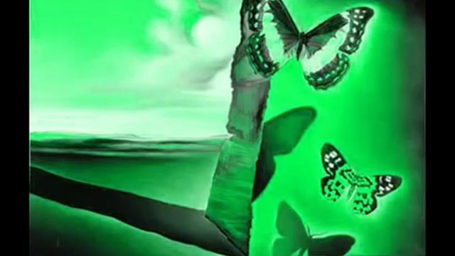 Тегеран 43 Скрипка Армен Авджан.