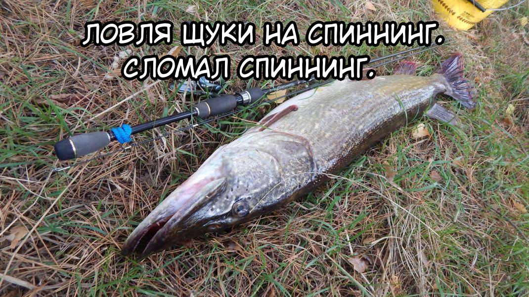 Ловля щуки на спиннинг. Сломал спиннинг. Крупняк атакует! смотреть онлайн