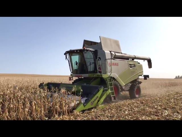 Кукурузная жатка Akturk Makina & комбайн Claas Tucano 570